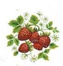JM　Strawberries　12370
