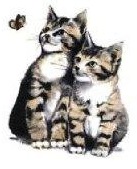 Cats パーフェクトシリーズ　2匹