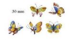 Oriental Garden Butterflies  5P