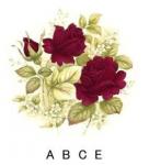 Burgundy Rose