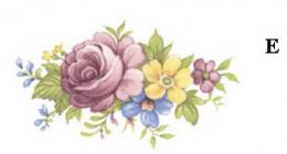 Chelsea Spray  6139