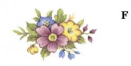 Chelsea Spray  6139