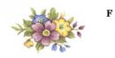 Chelsea Spray  6139