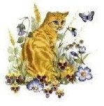 Cats パーフェクトシリーズ