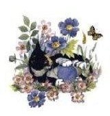 Cats パーフェクトシリーズ