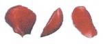 Red　rose　Motif A　花びら3種セット　A57320