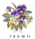 Antonieta　(pansies)　　70166A