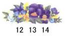 Antonieta　(pansies)　　70166A