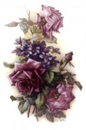 San Do Rose Mauve　　OLY191
