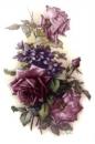 San Do Rose Mauve　　OLY191