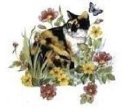 Cats パーフェクトシリーズ
