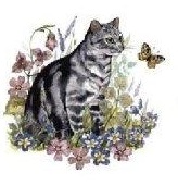 Cats パーフェクトシリーズ