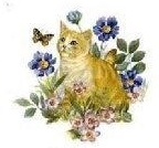 Cats パーフェクトシリーズ