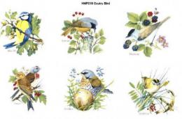 Country Bird　HMP219