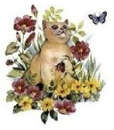 Cats パーフェクトシリーズ