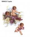 Cupids HB4232