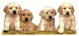Puppies Mug Wrap  RP222