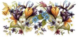 Spring-Crocus