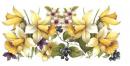Spring-Daffodil