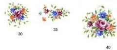 Patio  花 3種 12コ