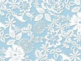 Lace　ブルーレース S3620