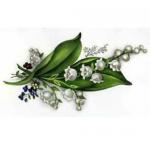 LILLY OF THE VALLEY.  6333