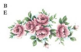 Louisa　B/E