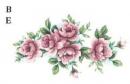 Louisa　B/E
