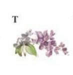 LILAC MIST　T  10こ