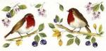 Birds  Mug 3種