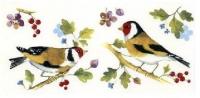 Birds  Mug 3種