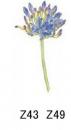 Flower　A57394