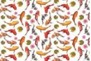 Koi-Carp