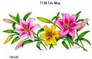 Lily　ユリ　Mugサイズ