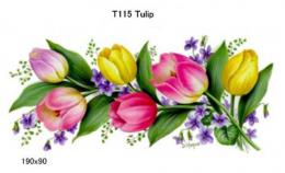 Tulip