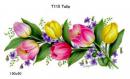 Tulip