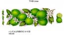 Lime