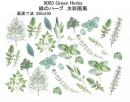 Green 　Herbs　　9003