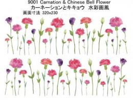 Carnation　&　Chinese Bell Flower　　カーネイション　キキョウ　9001