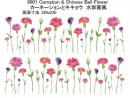 Carnation　&　Chinese Bell Flower　　カーネイション　キキョウ　9001
