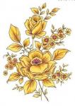 PROVENCE　　　5843