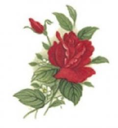 Red Rose　　2。Stock
