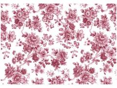 Imari　Red  S2915