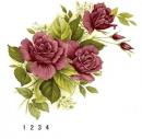 Pink Rose   2,Stock
