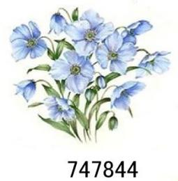 12349　JM 　Moonglow