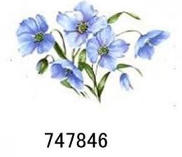 12349　JM Moonglow