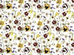 Calco  pansies small  clear