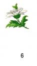 Daisy小花10こ