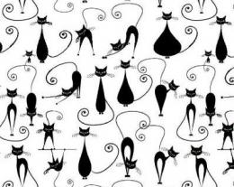 Chat　Noir　LS