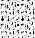 Chat　Noir　SS